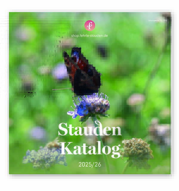 Fehrle-Stauden-StaudenHauptkatalog2025