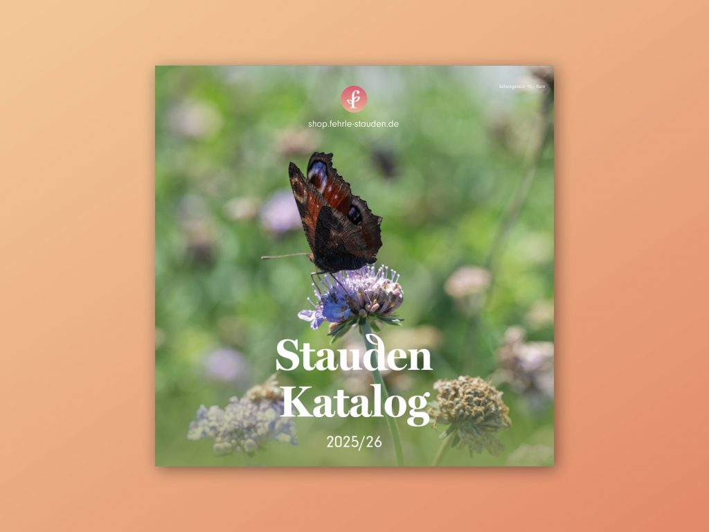 fehrle-stauden-katalog-2025-26
